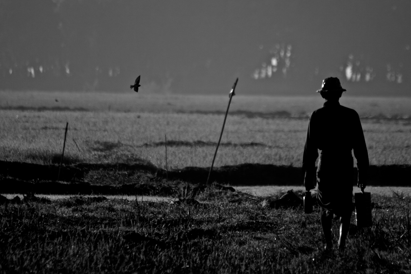 Burma Rice Paddy Worker | Jonny Finity