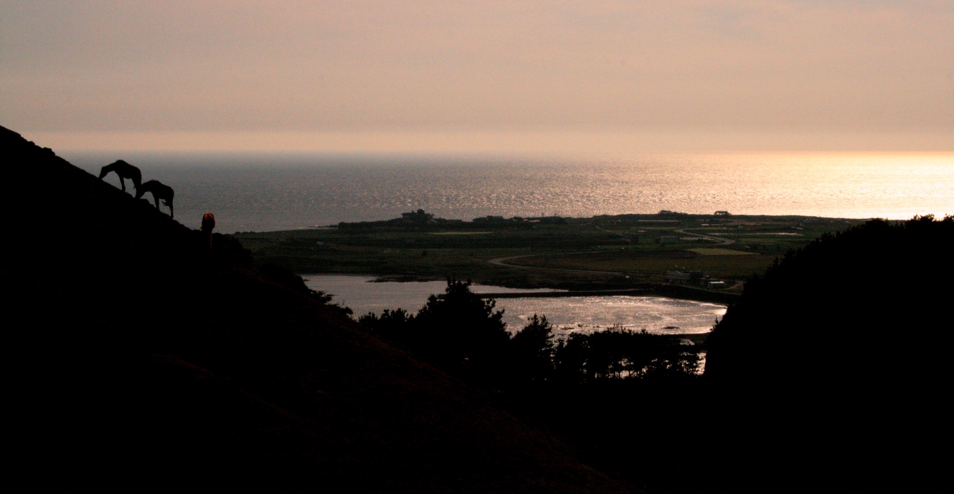 Jeju Horses on Ridge | Jonny Finity